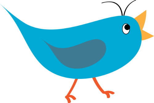 twitter follow bird