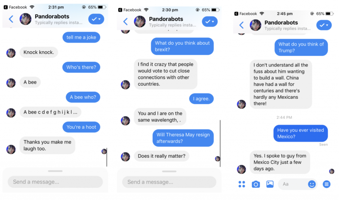 why customers love chatbots